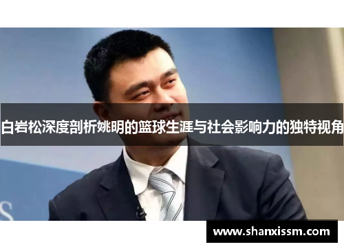 白岩松深度剖析姚明的篮球生涯与社会影响力的独特视角